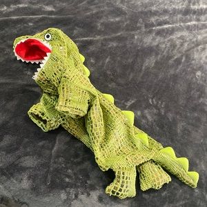🌼Dinosaur Lizzard Dog Costume